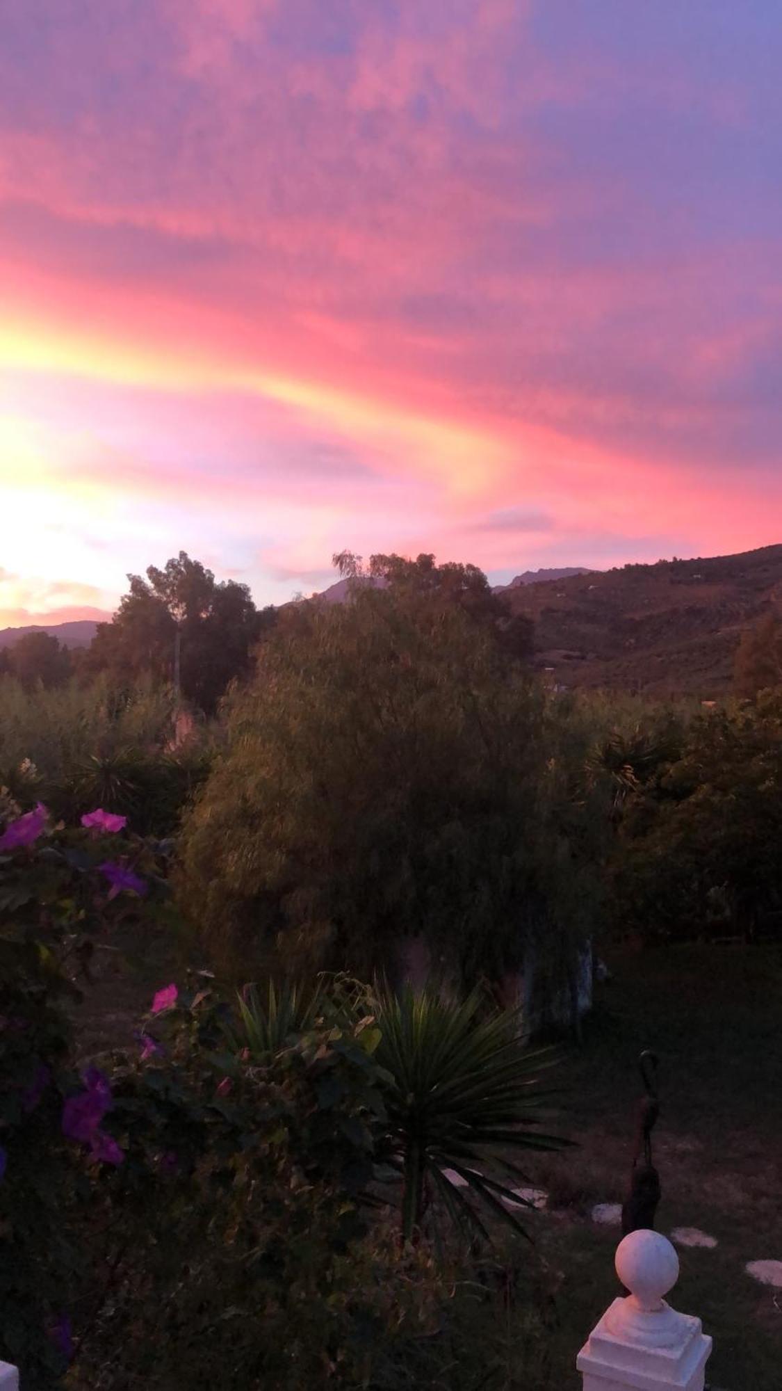 Finca El Rio,, La Casita One Of 2 Self Catering Studios. Pool And Hydrotherapy Jacuzzi Málaga Buitenkant foto